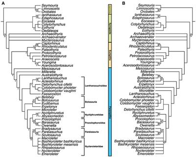 Commentary: A Reassessment of the Taxonomic Position of Mesosaurs, and a Surprising Phylogeny of Early Amniotes